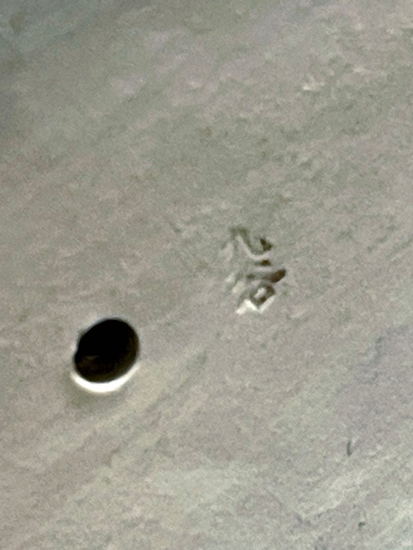 九谷焼　金の白馬　目標達成や人生の目的に向けて前進する