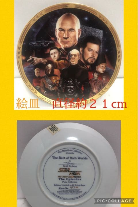 スタートレック　ＴＮＧ　ロキュータスとピカード、ライカーほかクルーたち　絵皿