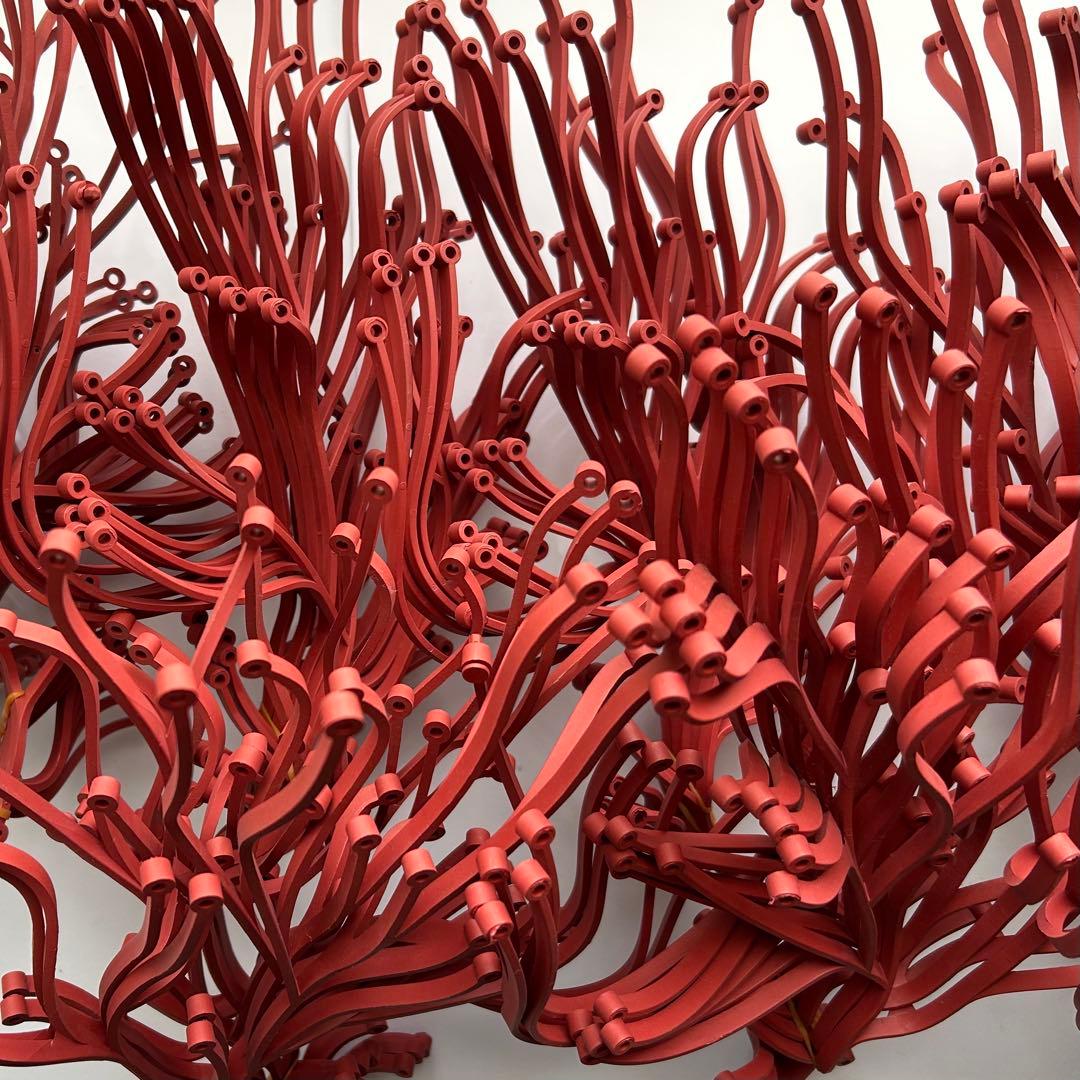 アルギュ ヴィトラ Algue vitra 赤50本➕おまけ　最終価格