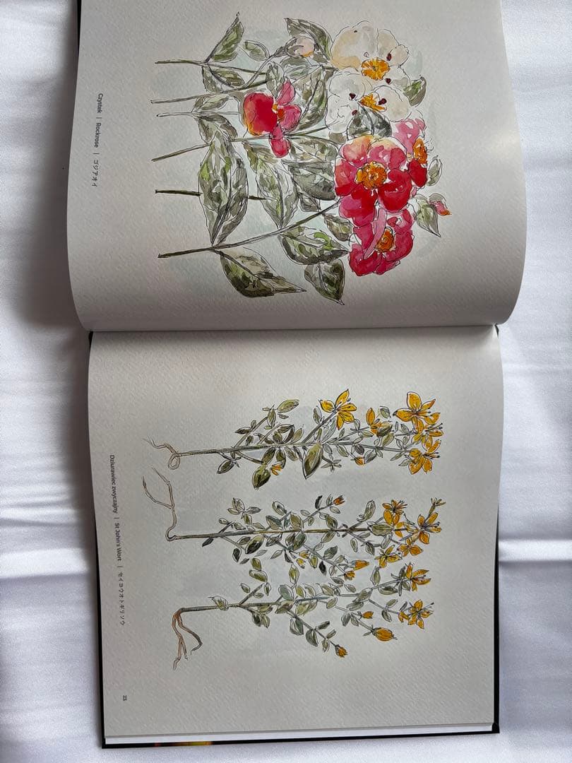 大阪万博 2025 ポーランドパビリオン 非売品 本/図鑑