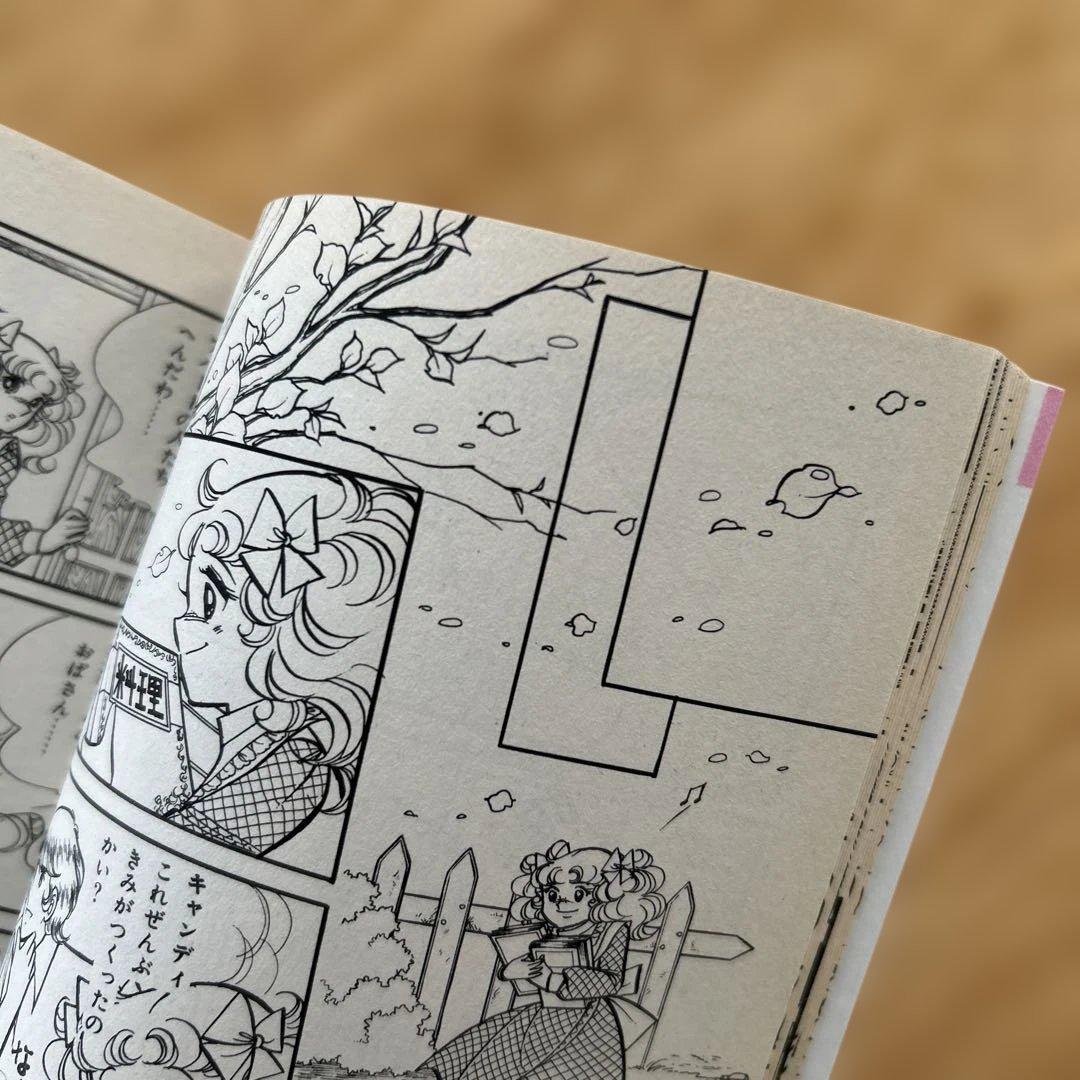 キャンディキャンディ 全巻セット　いがらしゆみこ　水木杏子　なかよし