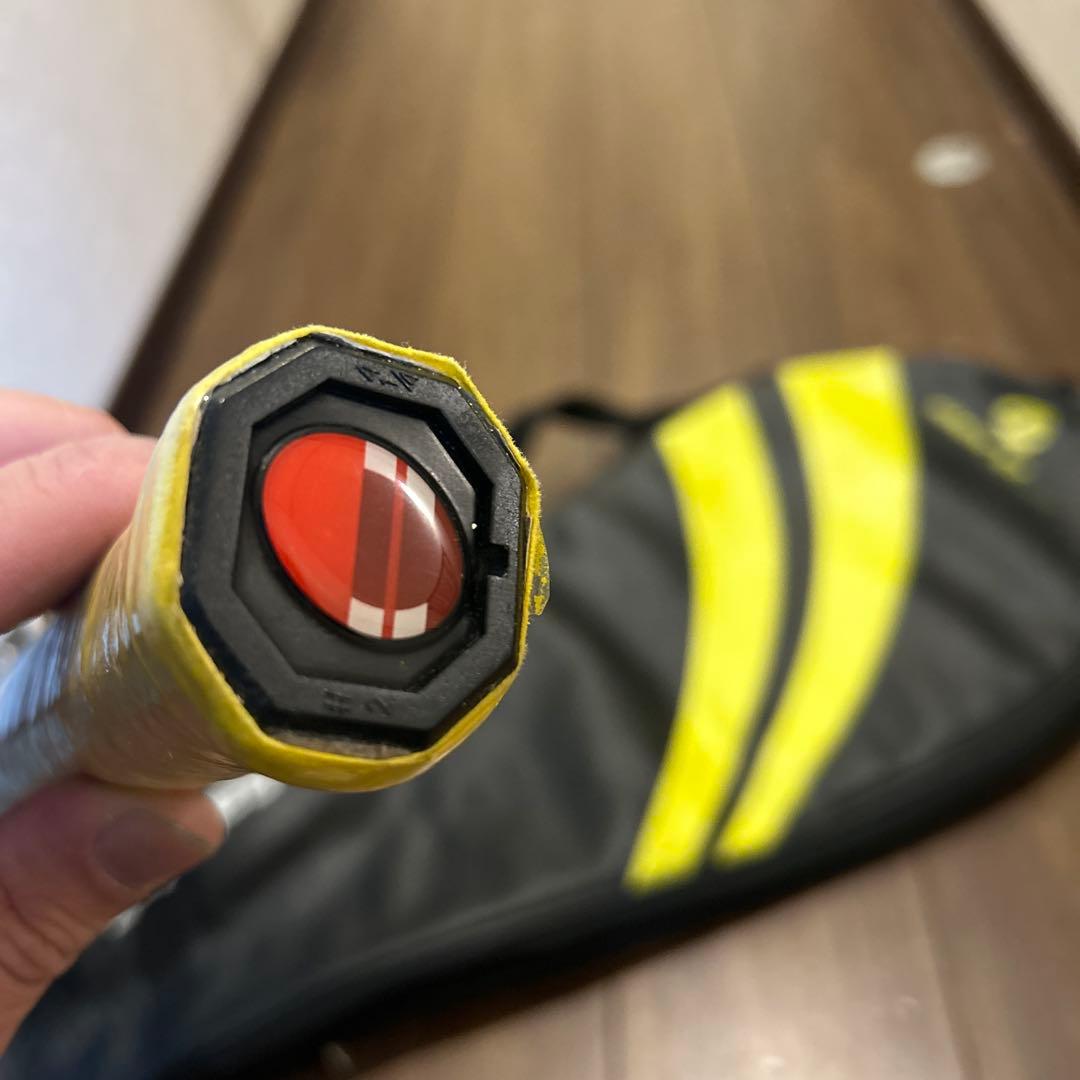 バボラ アエロプロ ドライブ ローランギャロス 硬式用 テニス ラケット