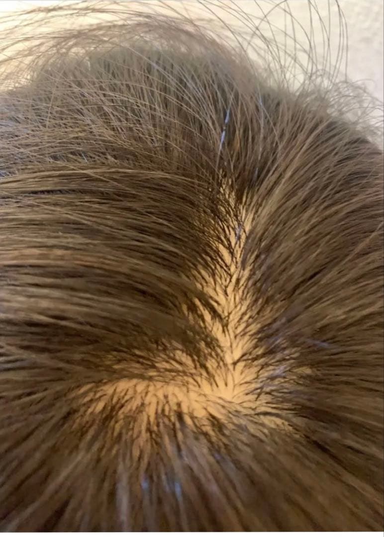 部分ウィッグ　分け目ウィッグ 前髪あり　人毛レミウィッグ