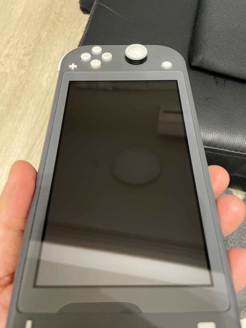 Nintendo Switch Lite 本体 充電器SDカード付き【中古品】