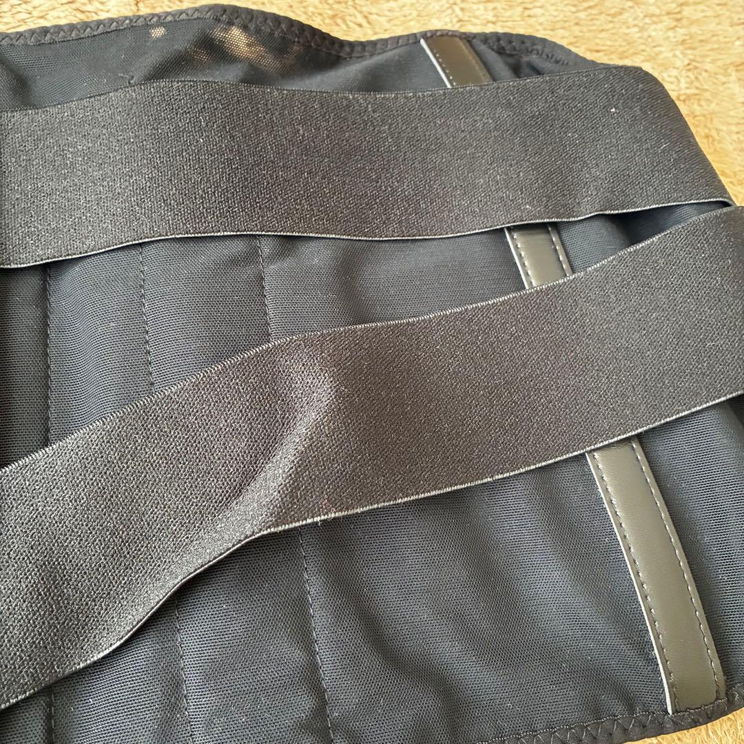 ファイテン　phiten フィットタイプ 腰用 Lサイズ