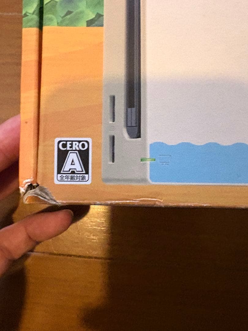 Nintendo Switch どうぶつの森セット