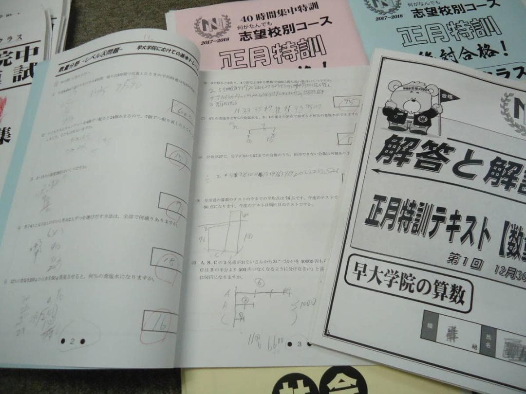 早稲田アカデミー　NN早大学院　正月特訓/直前特講/その他　2017年度版
