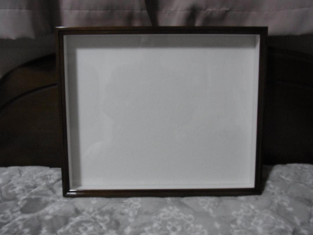 標本箱 T-WOOD 新品 未使用 幅500mm+x高410mm+x厚60mm位