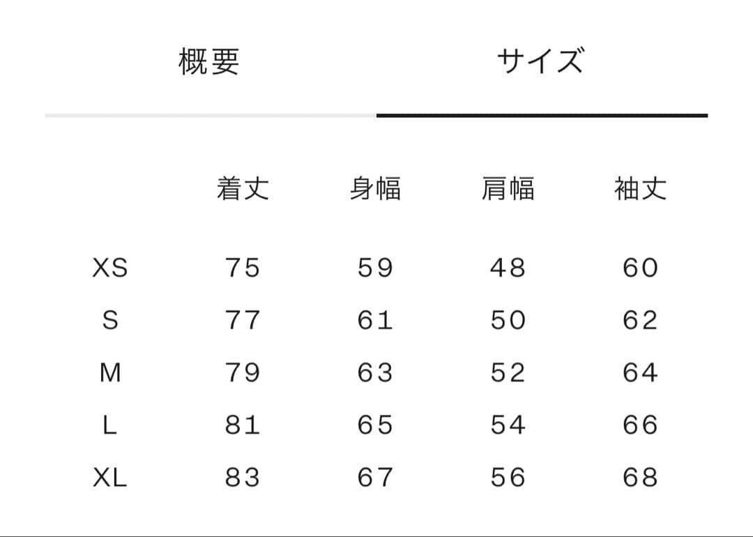 2024モデル ノースフェイス マウンテンダウンジャケット ND92454 XL
