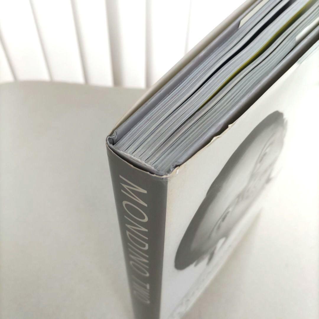 MONDINO:Two Much/モンディーノ 写真集 作品集 ポートレート