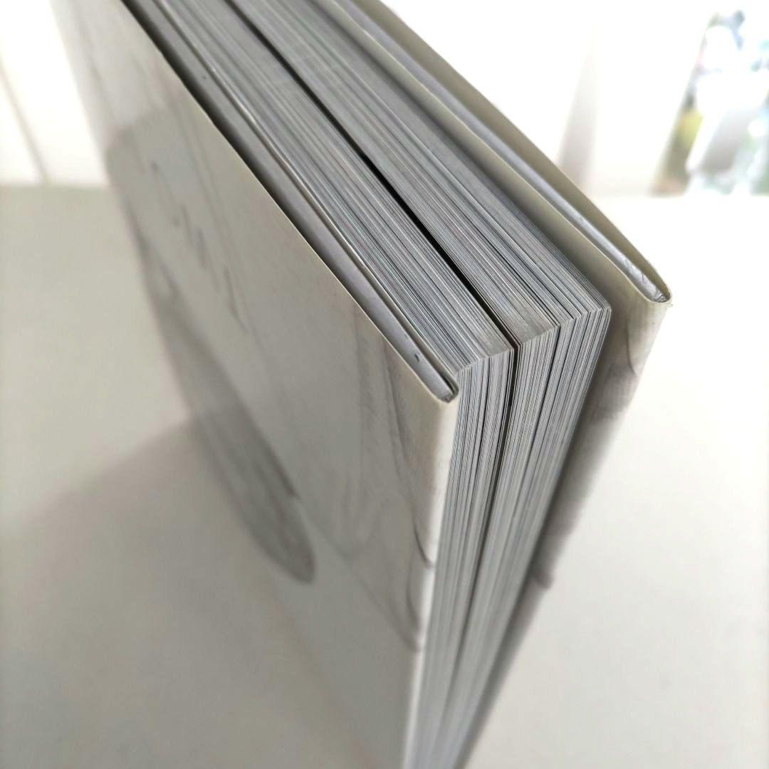 MONDINO:Two Much/モンディーノ 写真集 作品集 ポートレート