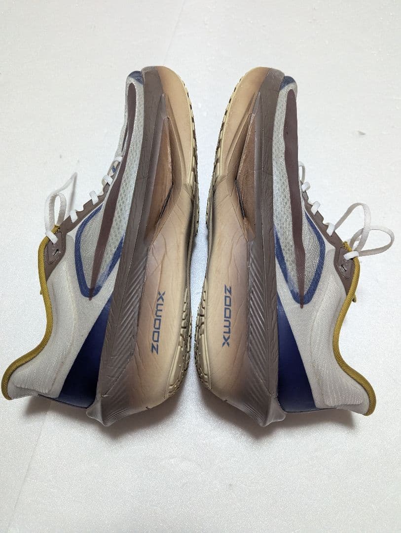 ナイキ ズーム フライ 6 プレミアム メンズ ロード ランニングシューズ