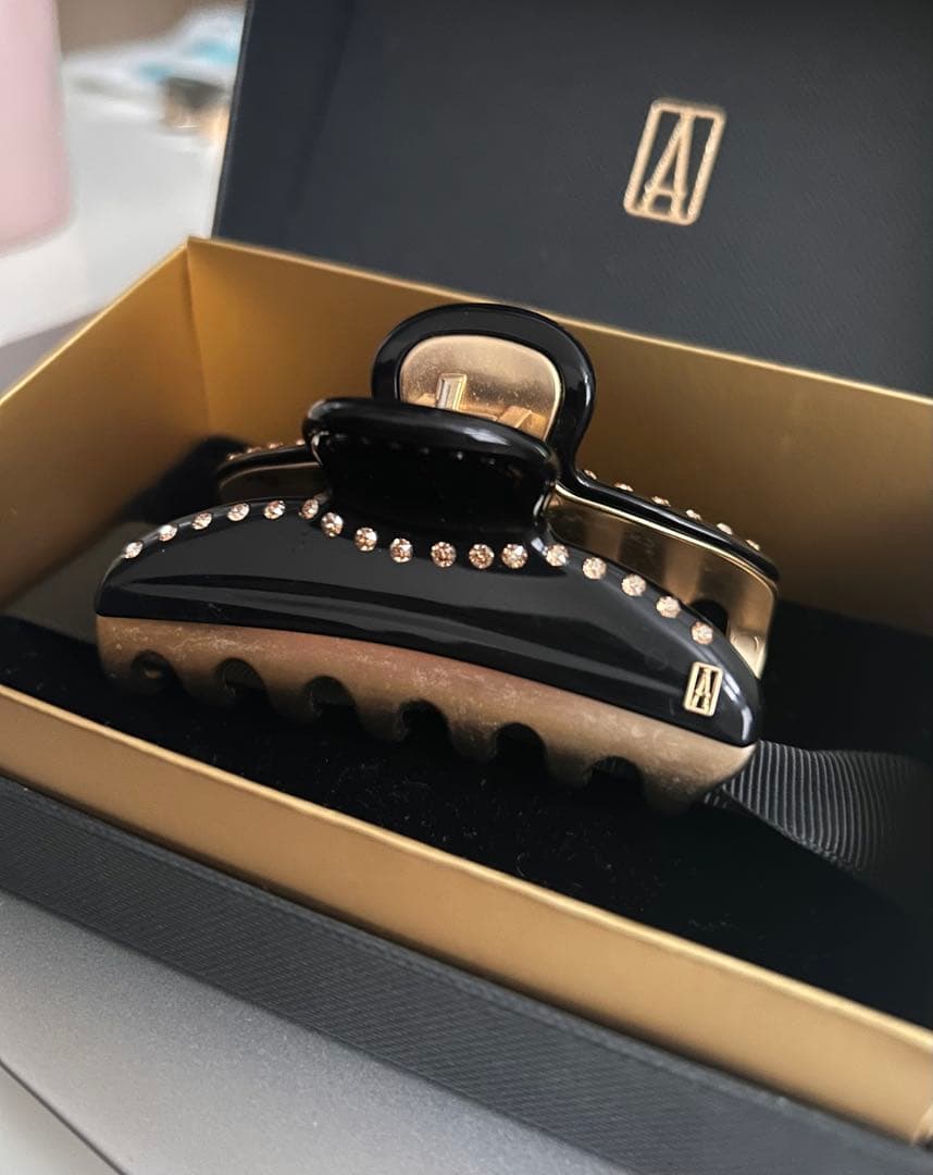 ALEXANDRE DE PARIS VENDOME M クリップ　箱付き