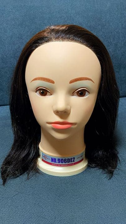 【へけ】国家試験用ワインドウィッグ レジーナ