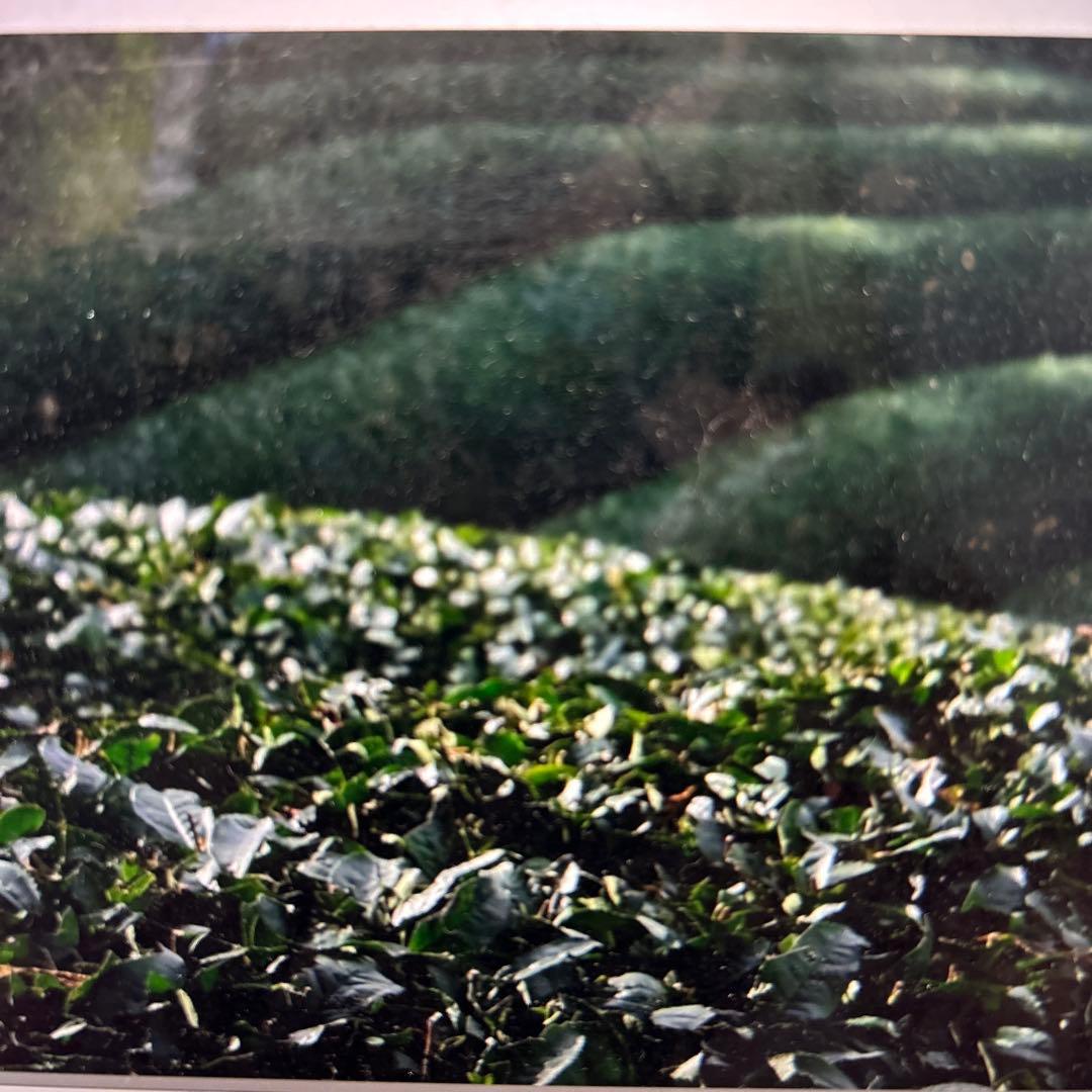 コトシナKOTOSHINA PREMIUM CREAM