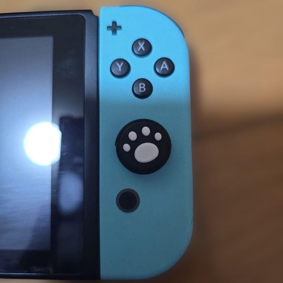 Nintendo Switch 本体　あつまれ どうぶつの森[最終値下げ]