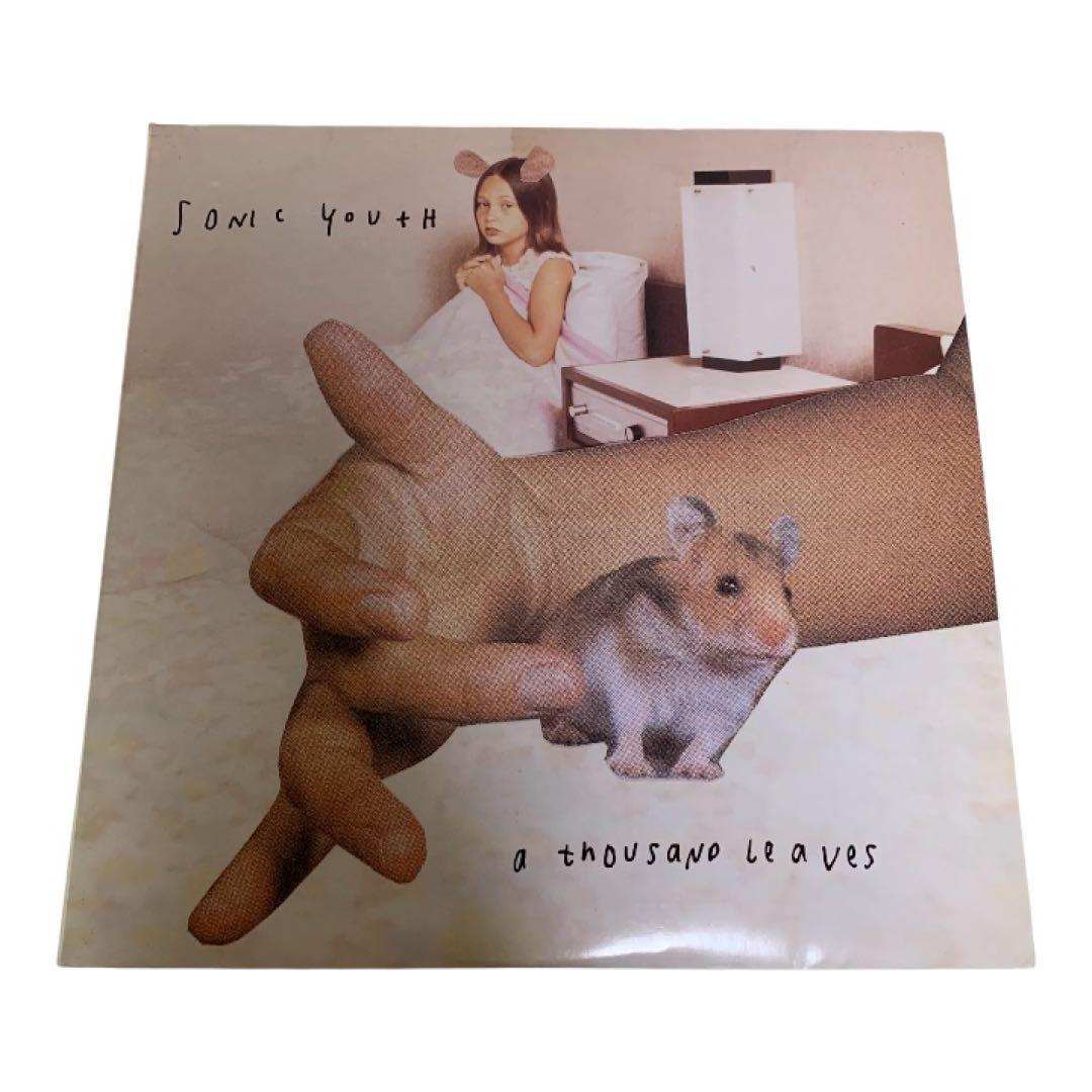 SONIC YOUTH - A Thousand Leaves 2×LP国内盤