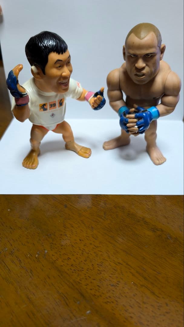 桜庭和志　ヴァンダレイ・シウバ　フィギュア