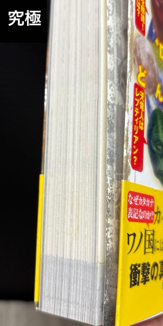 ワンピース 1-111巻 関連本 17冊 全128冊