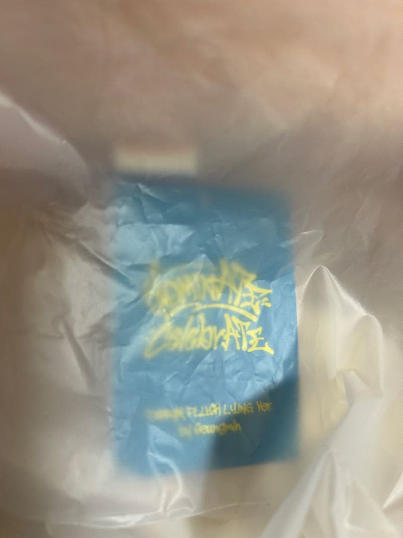 StrayKids スンミン メンプロ パピーム