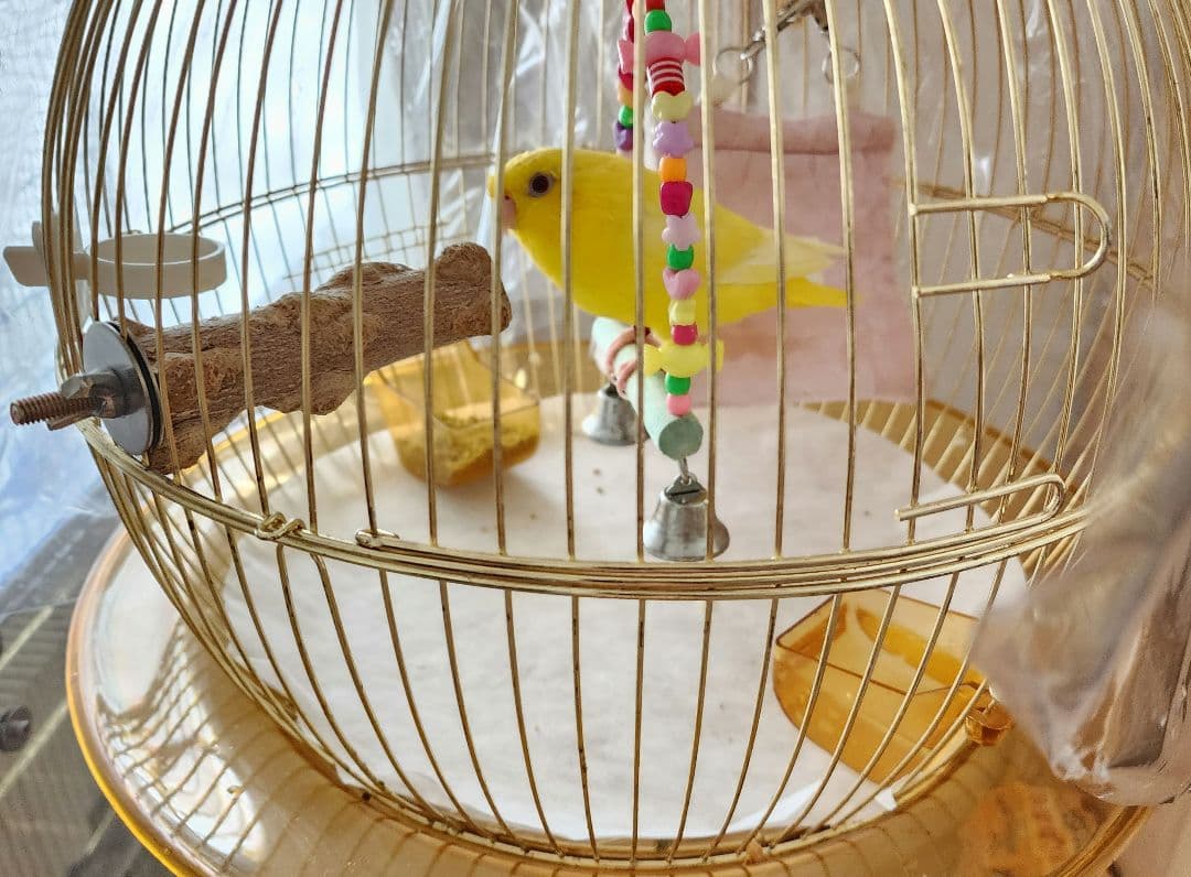 鳥かご ケージ スタンド セット インコ