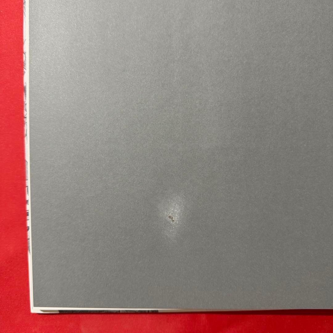 REIWA　Shohei Otomo　大友昇平　Heisei Mary 平成聖母