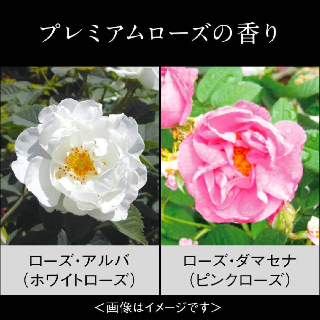 レフィル付き★ミラノコレクションフェースアップパウダー2021セット