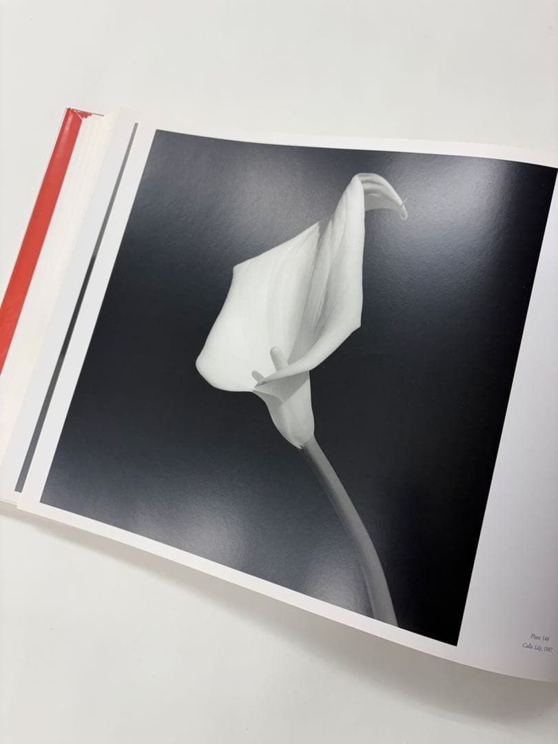 MAPLETHORPE: THE COMPLETE FLOWERS ※外箱付き