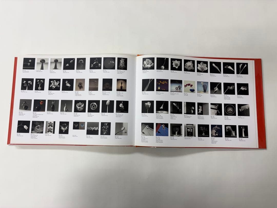 MAPLETHORPE: THE COMPLETE FLOWERS ※外箱付き