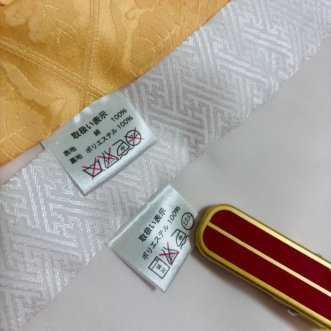 《新品》伝統色 杏色❗️正絹 刺繍入 お宮参り 京友禅多色ぼかし 産着/たとう紙付