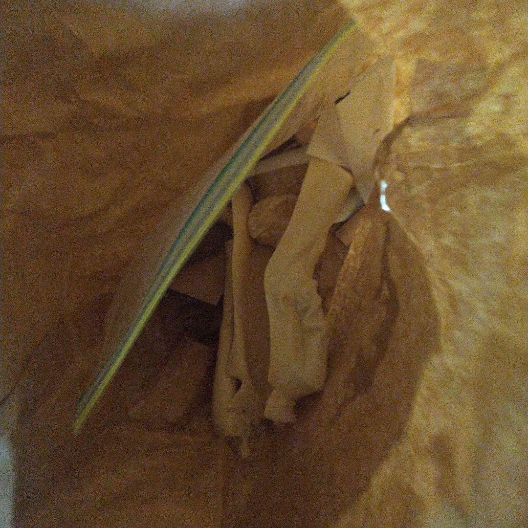 超レア カウボーイビバップ スパイク イベント限定ガレージキット