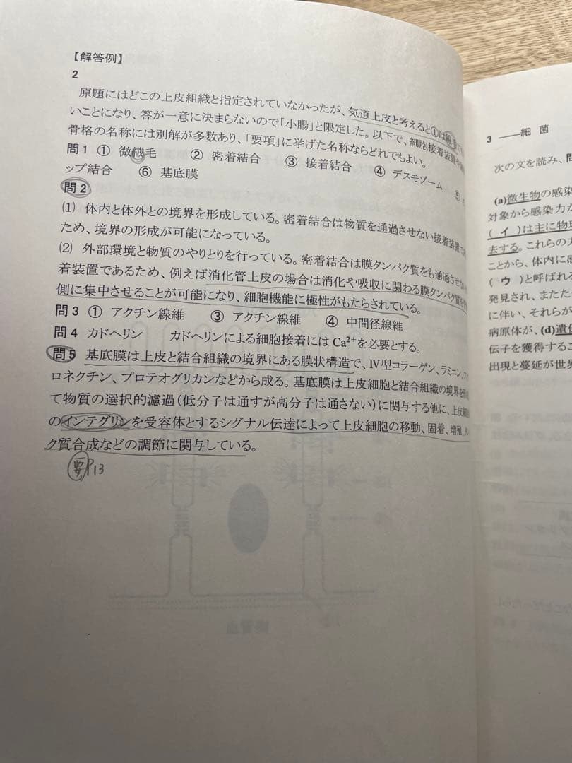 KALS 医学部学士編入