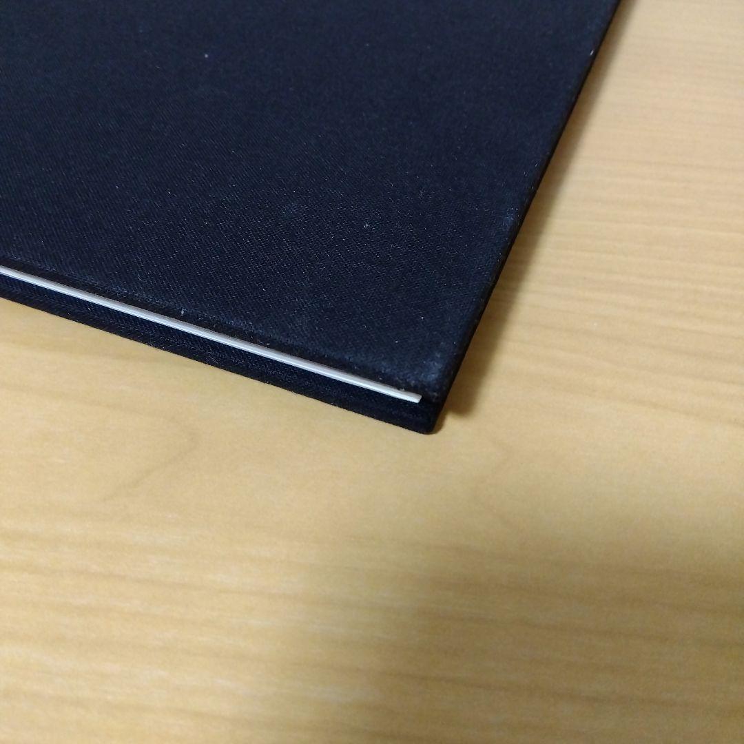 アート・デザイン・音楽 RUDOLF STINGEL secession