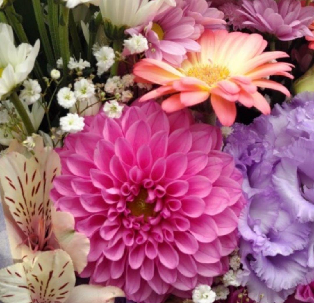 MTメタトロン　MTコントアローション　コントアBクリーム 2点セット