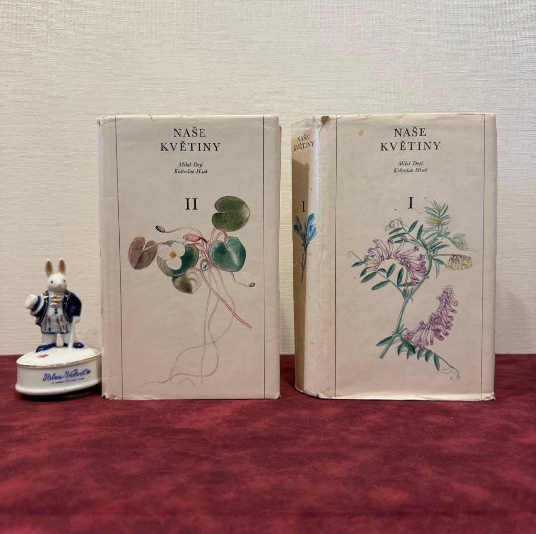 129①チェコ植物図鑑　2冊セット　洋書古書　ジャンクジャーナル　ボタンニカル