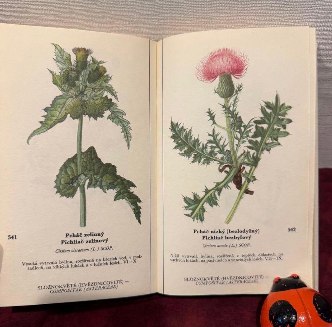 129①チェコ植物図鑑　2冊セット　洋書古書　ジャンクジャーナル　ボタンニカル