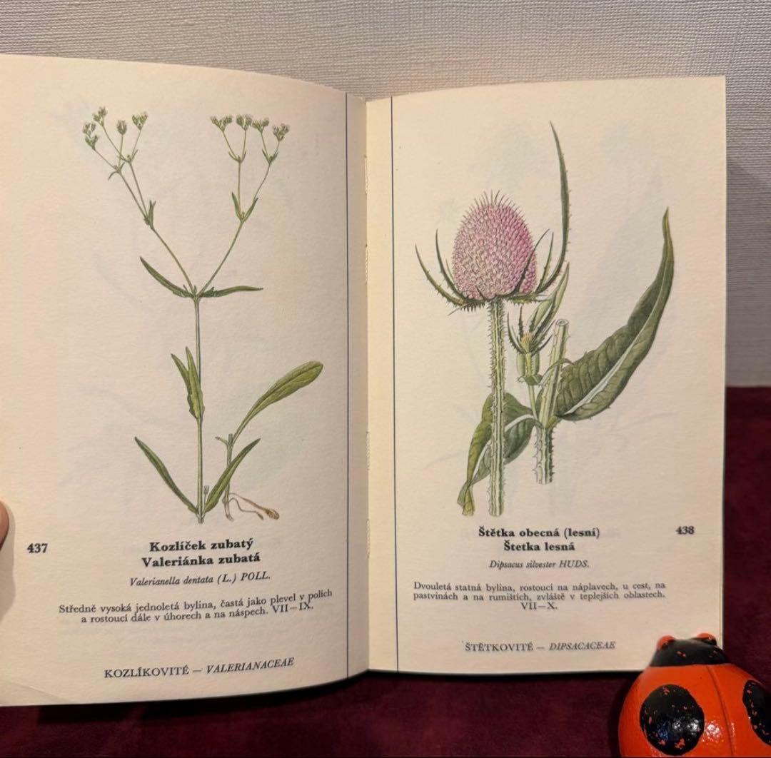 129①チェコ植物図鑑　2冊セット　洋書古書　ジャンクジャーナル　ボタンニカル