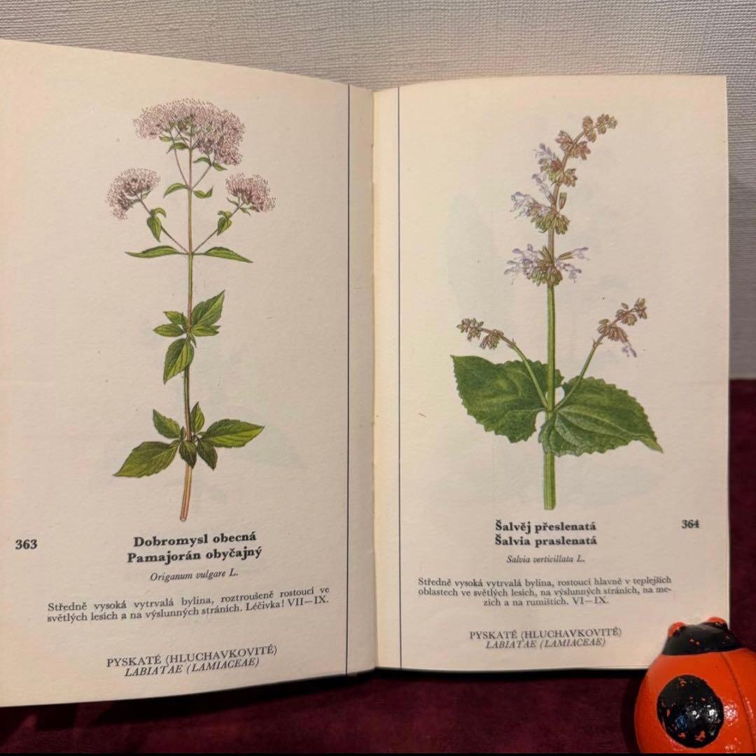 129①チェコ植物図鑑　2冊セット　洋書古書　ジャンクジャーナル　ボタンニカル