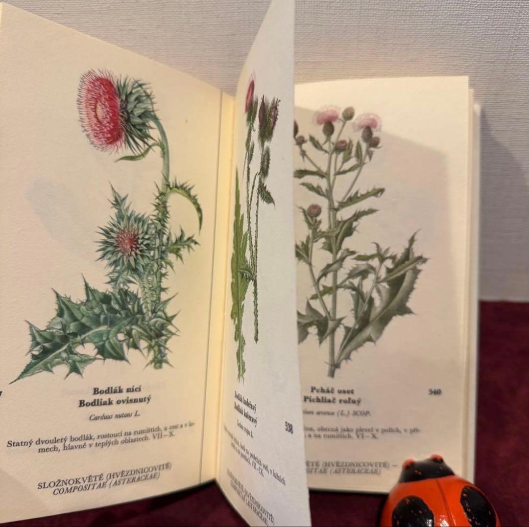 129①チェコ植物図鑑　2冊セット　洋書古書　ジャンクジャーナル　ボタンニカル