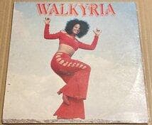 BRA盤92年頃？ほぼ美盤！Nordesteのレア盤！Walkyria/Same