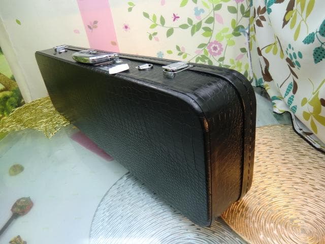 新品未使用(送料無料)11.980円　沖縄三線専用　一丁入ふかふかハードケース