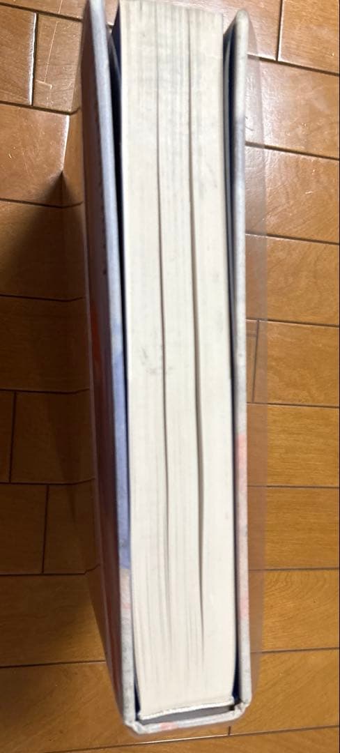 【稀少】Frankenthaler/ヘレン・フランケンサーラー 画集 作品集