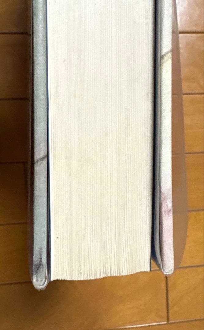 【稀少】Frankenthaler/ヘレン・フランケンサーラー 画集 作品集