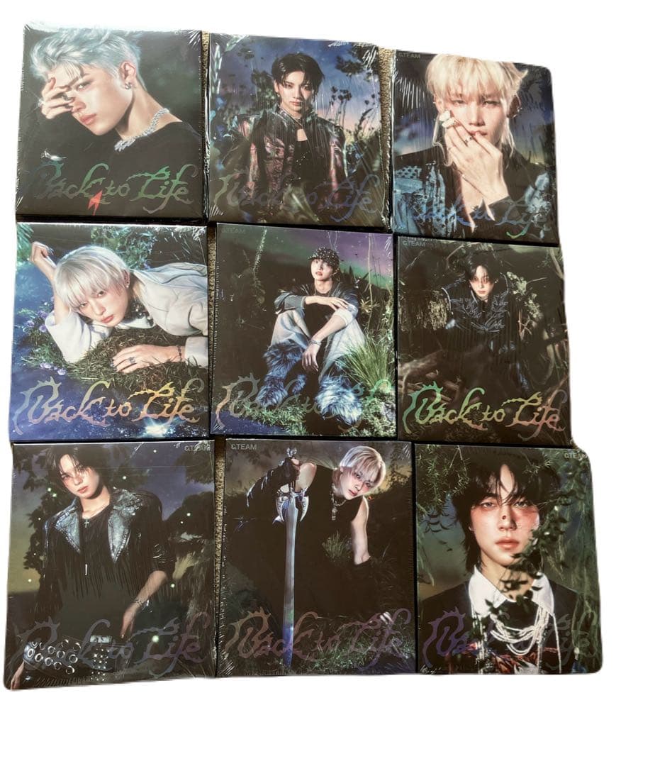 &TEAM Back to Life ROAR ver コンプ