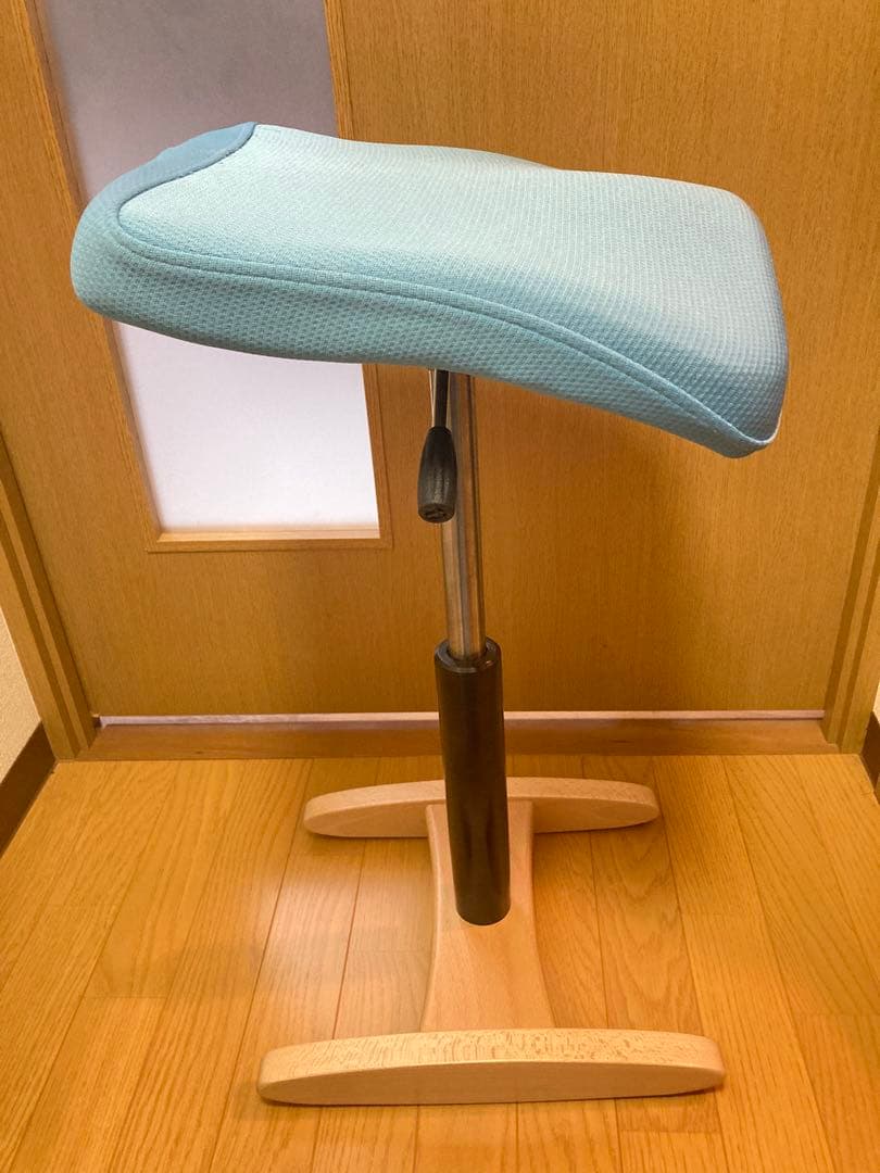 ☆ Balans Synergy バランス シナジー 姿勢矯正 サカモトハウス