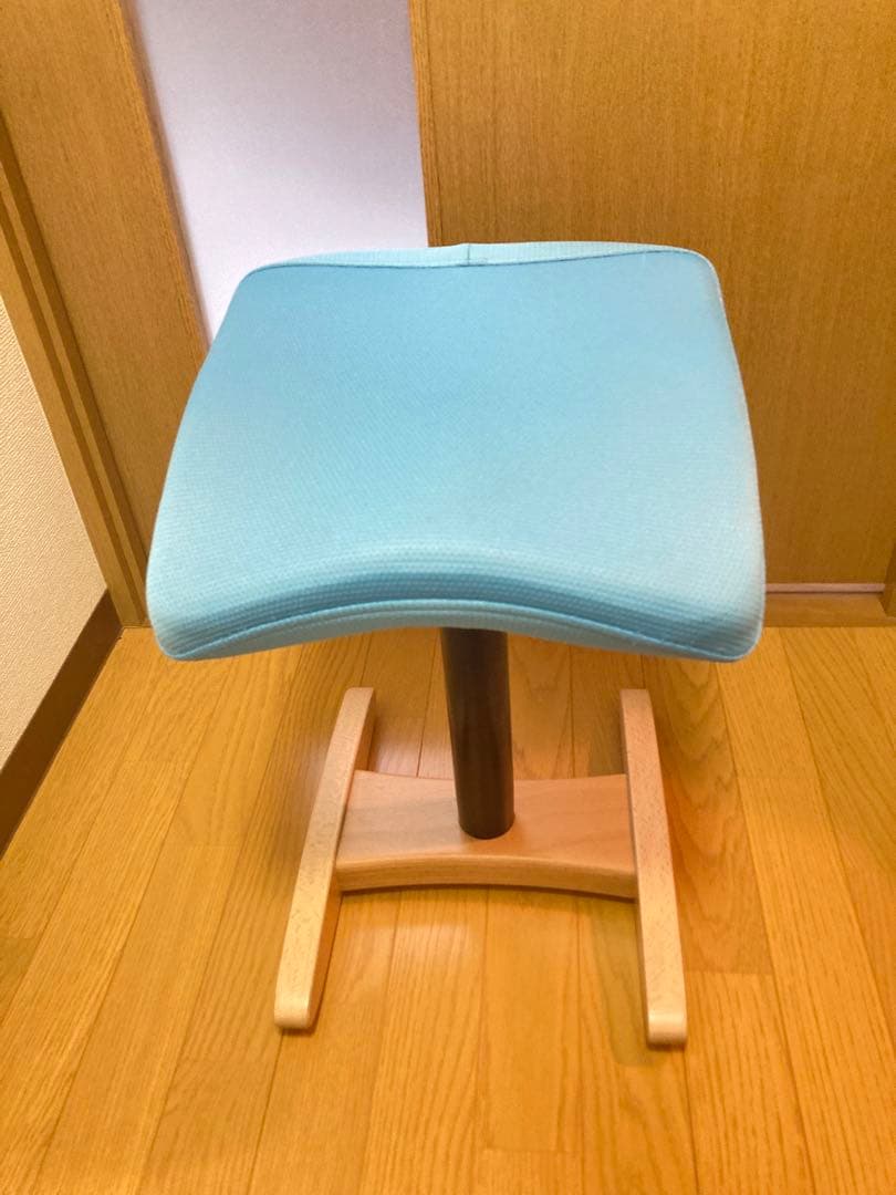 ☆ Balans Synergy バランス シナジー 姿勢矯正 サカモトハウス