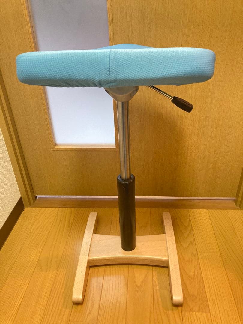 ☆ Balans Synergy バランス シナジー 姿勢矯正 サカモトハウス