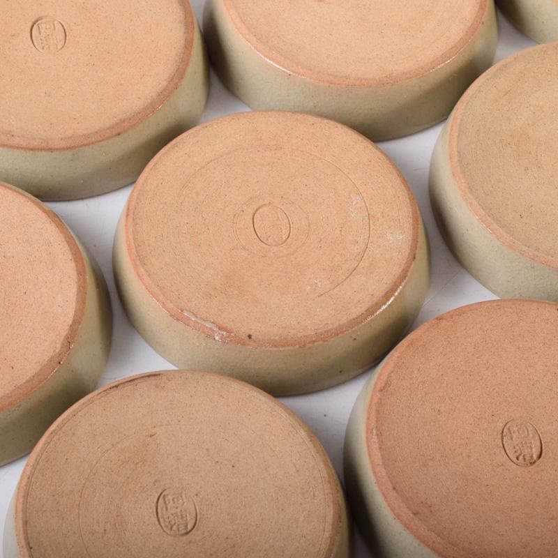 煎茶道具　春来居窯　多気檗山作　刷毛目　湯呑　茶托付　十客　共箱　C　8221