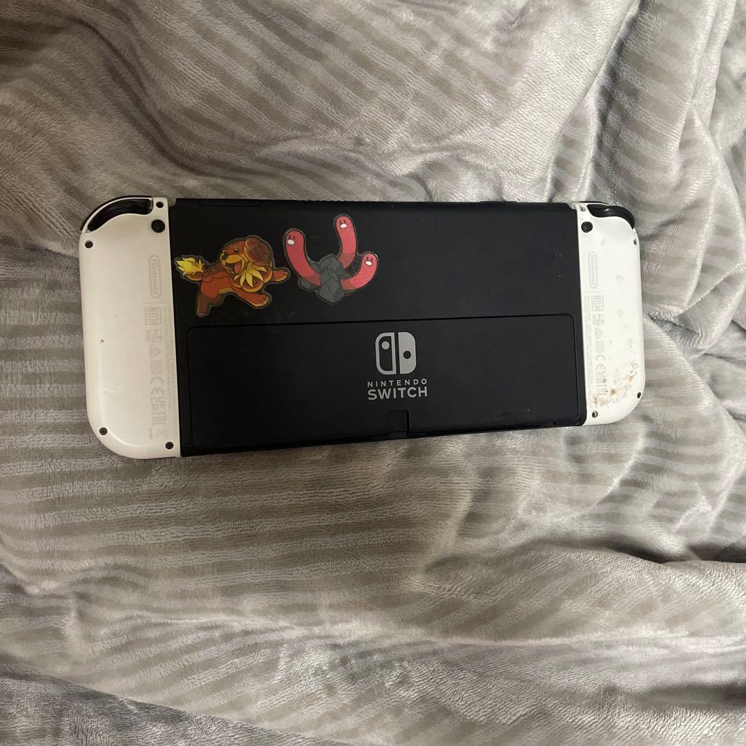 NintendoSwitchモンハンライズ(全クリ)カセット付き充電コード付き