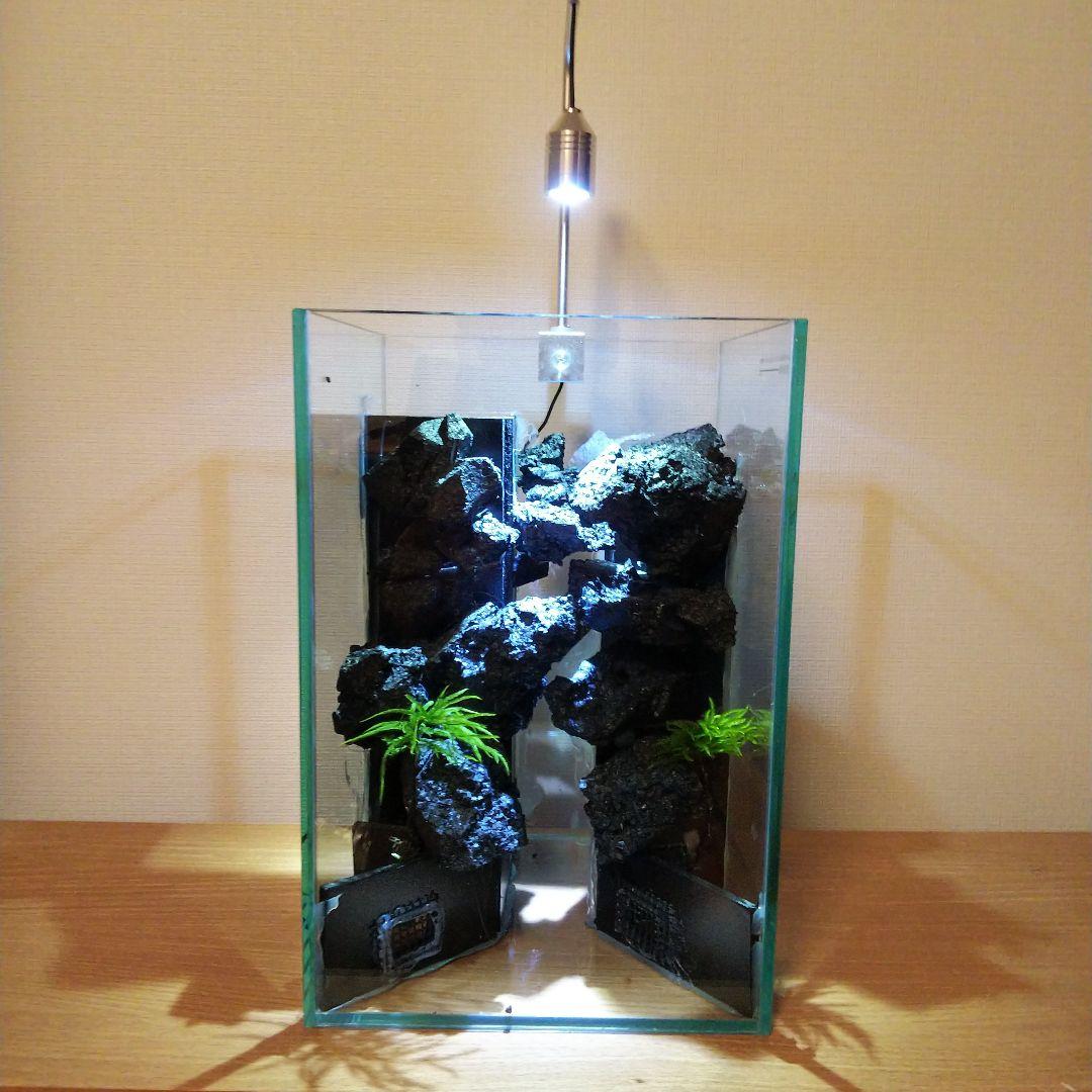 【完成品】滝の流れるアクアテラリウム　イモリウム　苔　　アクアテラリウム完成品